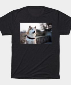 shiba inu fourth